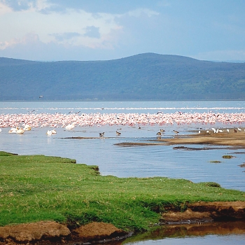 Sironka Safaris travel photo